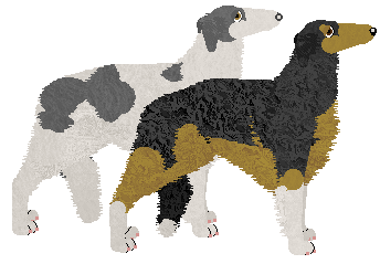 Borzoi - Java V1