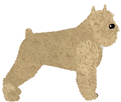 Bouvier des Flandres - Abnormality V2