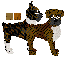 Boxer - Faerie Barn Dance V2