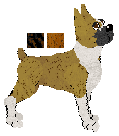 Boxer - Faerie Barn Dance V1