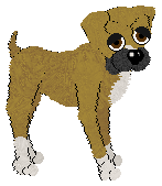 Boxer - PF Magic Selectively Bred (Natural)