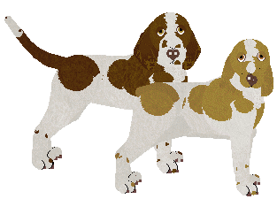 Bracco Italiano - Abnormality V2