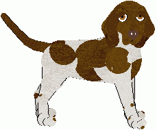 Bracco Italiano - Abnormality V1