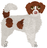 Brittany - Supernova V1 (Updated)