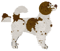 Brittany - Supernova V1