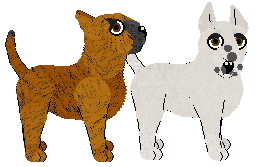 Bull Terrier - Cargo