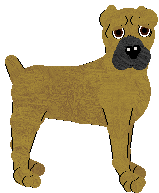 Cane Corso - Unknown