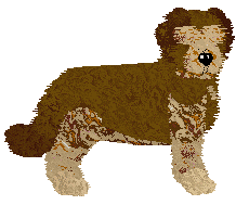 Catalan Sheepdog - Cirrutopia V1