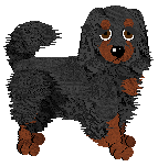 Cavalier King Charles Spaniel - Abnormality