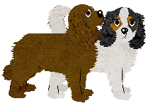 Cavalier King Charles Spaniel - Supernova V1