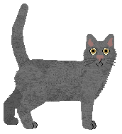 Chartreux - Supernova