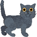 Chartreux - Sheepish