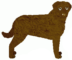 Chesapeake Bay Retriever - Bramblewood/Lime Green Flamingo