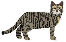 Bloodhound - Chinese Li Hua