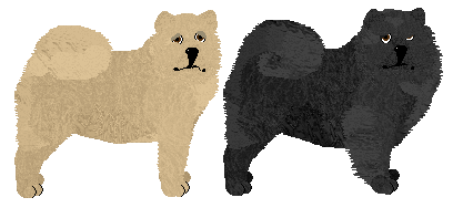 Chow Chow - Supernova