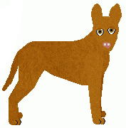 Cirneco dell'Etna - Bramblewood