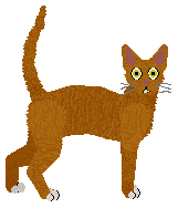 Cornish Rex - Supernova V1