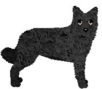 Croatian Sheepdog - PDH's Resources