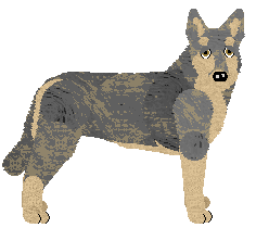 Czechoslovakian Wolfdog - PDH's Resources