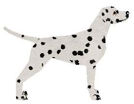 Dalmatian - Dragonstone