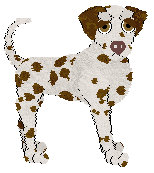 Dalmatian - PF Magic (Liver)