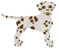 Dalmatian - Unknown V2