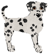 Dalmatian - Unknown V1