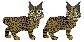 Desert Lynx - Lime Green Flamigos