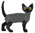 Devon Rex - Zodiac V2