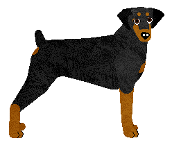 Dobermann - Abnormality V3 (Natural)