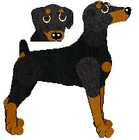 Dobermann - Abnormality V2 (Natural)