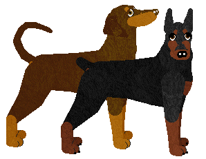 Dobermann - Java V1