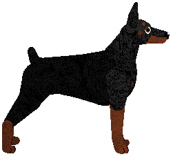 Dobermann - Abnormality V3 (Cropped)