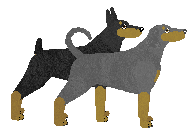 Dobermann - Java V2 (Cropped)