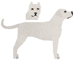 Dogo Argentino - Kamvis