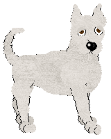 Dogo Argentino - Unknown