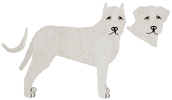 Dogo Argentino - Bramblewood