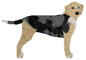 Dunker - Supernova V2