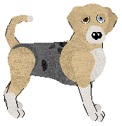 Dunker - Supernova V1