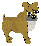 English Bulldog - PF Magic