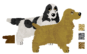 English Cocker Spaniel - Bekki