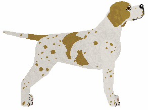 English Pointer - Java