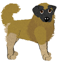 Estrela Mountain Dog - Unknown