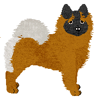 Eurasier - Zodiac V1