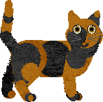 European Shorthair - Supernova V2