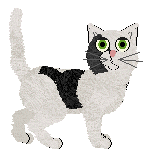 European Shorthair - Supernova V1