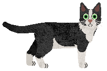 European Shorthair