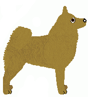 Finnish Spitz - Bramblewood