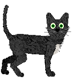 German Rex - Unknown