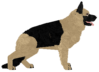 German Shepherd Dog - Dragonstone